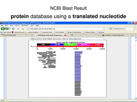 ncbi protein blast|Home .